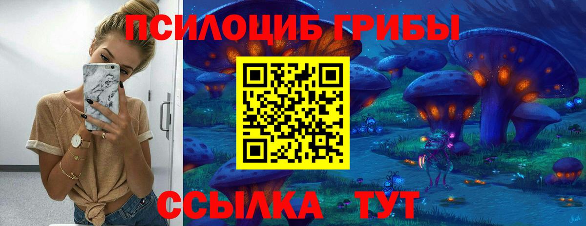 Сокол  Псилоцибиновые грибы Psilocybine cubensis  Вход с VPN 
